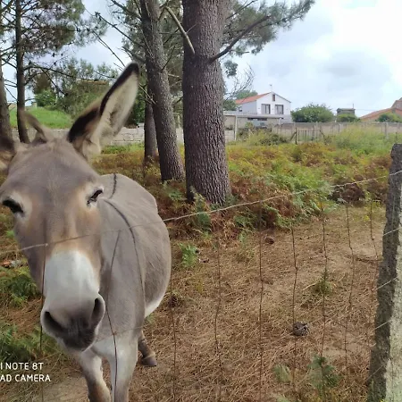 Будинок відпочинку Casa Surf Lanzada