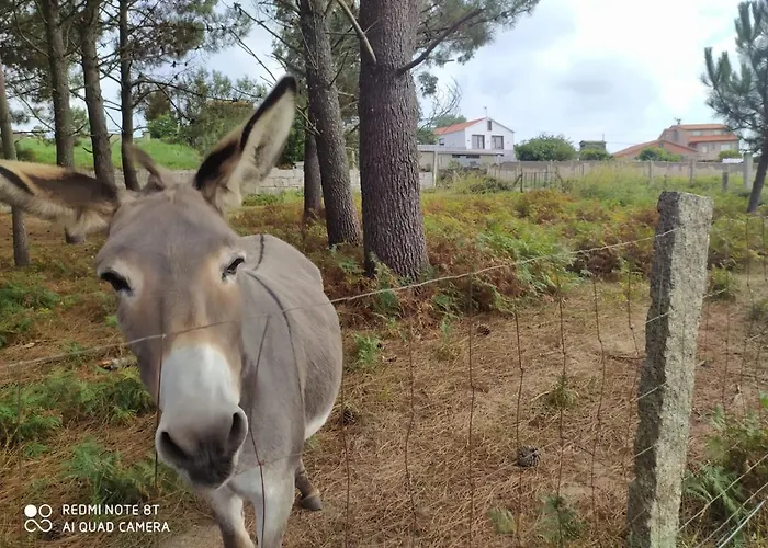 Hébergement de vacances Casa Surf Lanzada